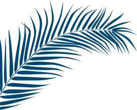 blue leaf icon Camping Paradis