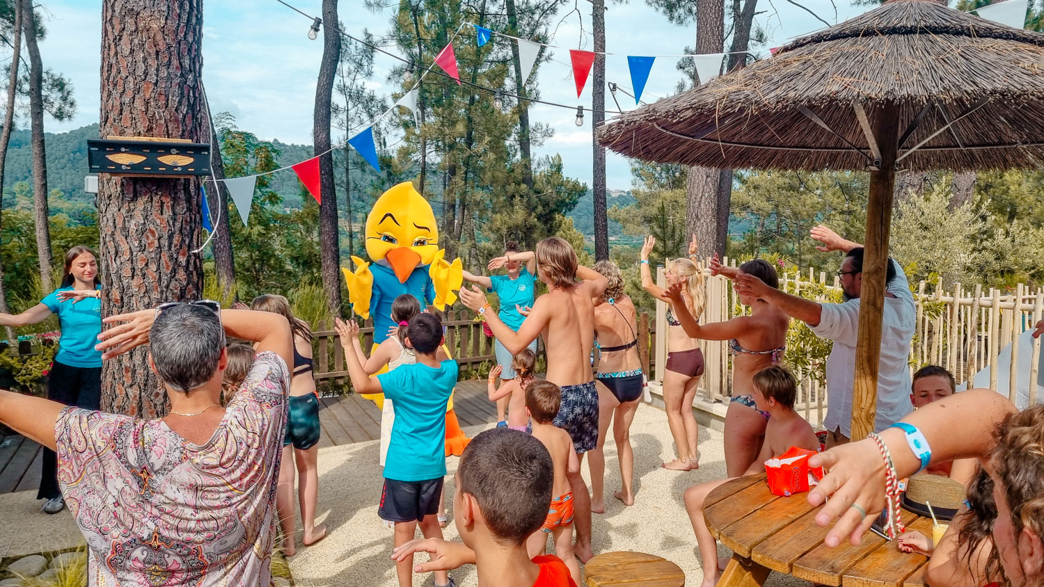 entertainment &amp; activities